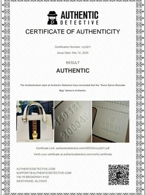 Gucci Sylvie Shoulder Bag - White with Navy & Red Web